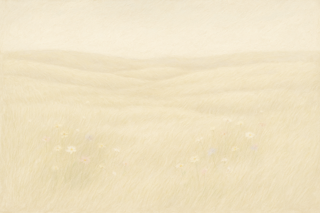 再入荷スケジュールと価格改定のお知らせ