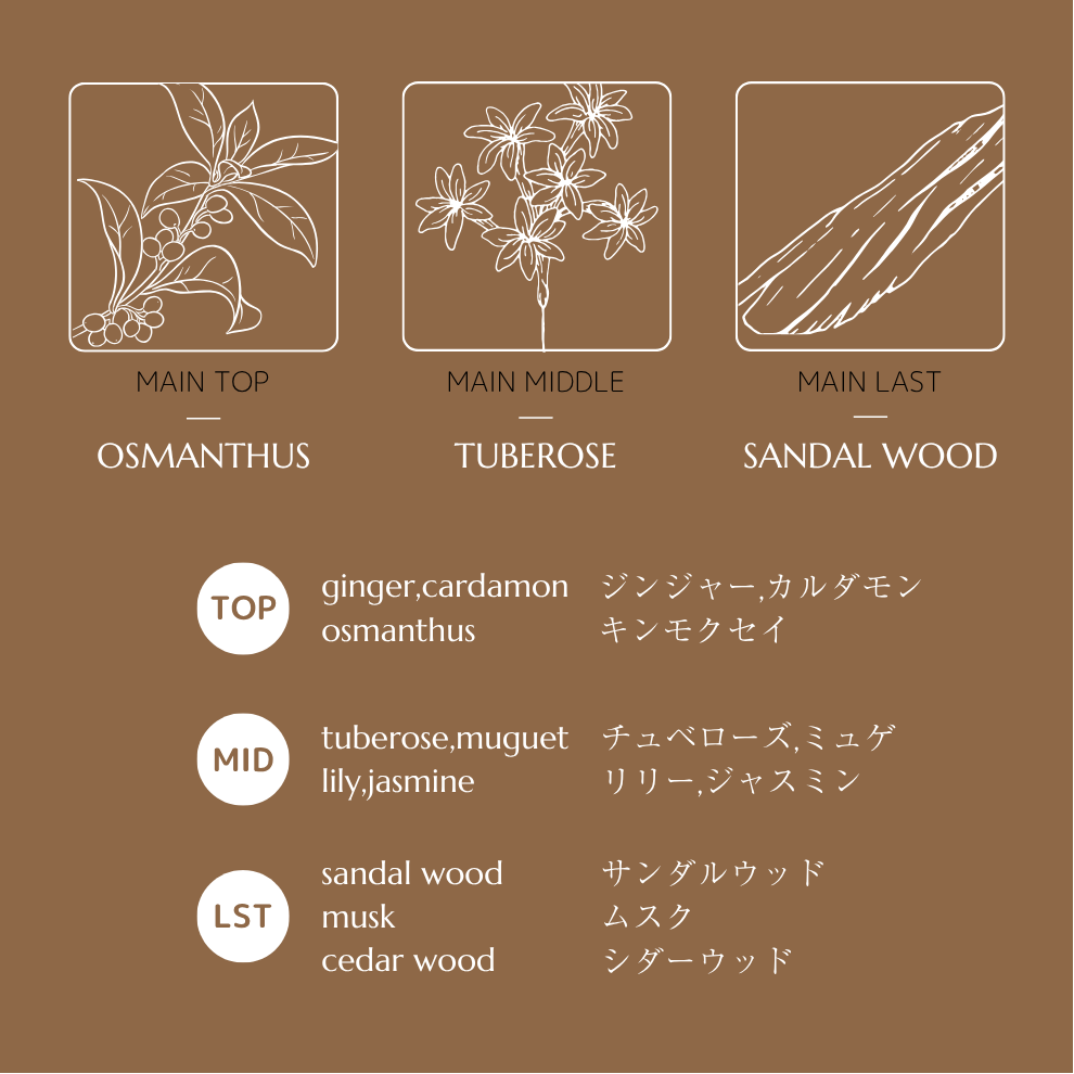 Enlight Hand Serum CF (Hand Essence) -无香料-