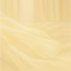 Enlight Hand Serum CF (Hand Serum) -Clear Free(Non Scent)-